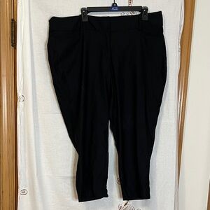 Lane Bryant Black Slim Fit Ankle Pants 20